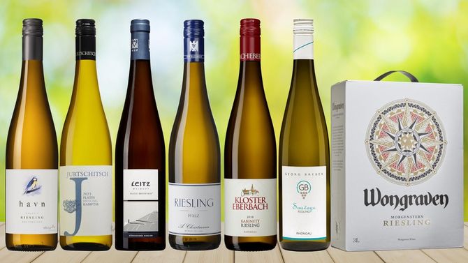 I dag firar vi riesling – våra sju bästa rieslingtips på hyllan