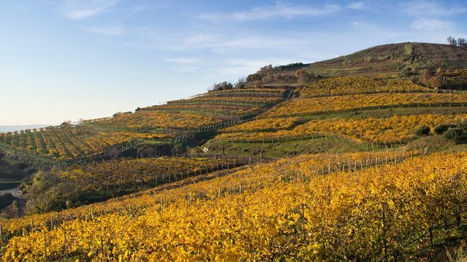 Soaves böljande kullar.