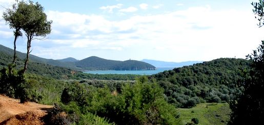 Förändring i ursprungsbeteckning Maremma Toscana DOC