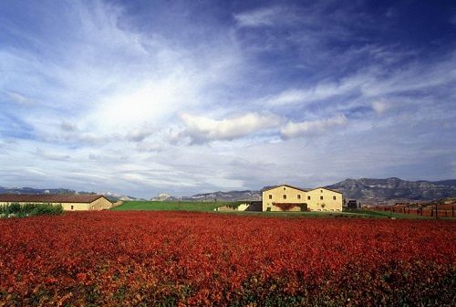 Röttorps Bästa med lyxig mogen Rioja