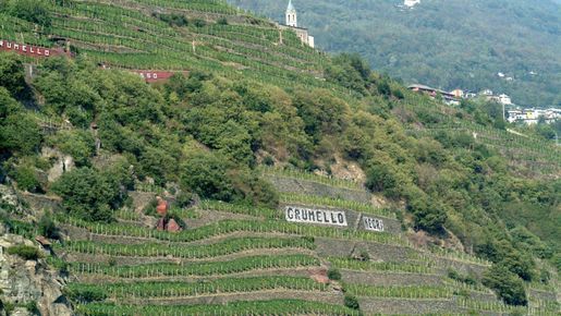 Valtellina – där nebbiolo trivs som allra bäst