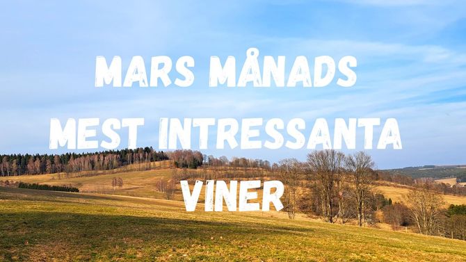 Mars månads mest intressanta viner