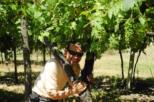 Luigi Righetti, familjeproducent i Valpolicella