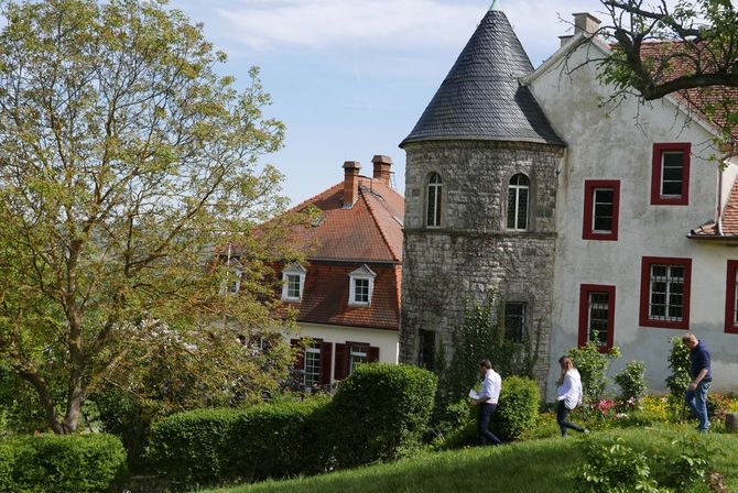 Weingut Schloss Westerhaus