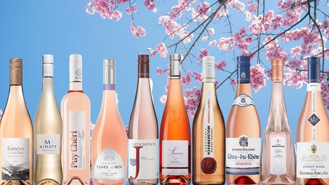 Bästa rosévin 2026 på Systembolaget – topplista
