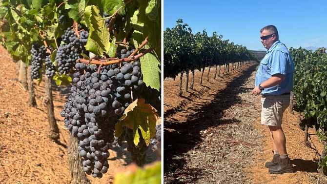 I samband med vårt besök i Durbanville så visar Peter-Niel de drastiska skillnaderna i området.