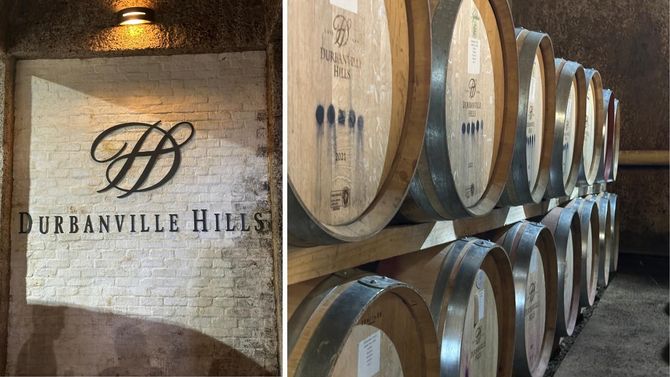 På plats i vineriet upptäcker vi bredden av druvor och viner.