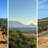 Sydafrikas okända vinregion: Durbanville överraskar