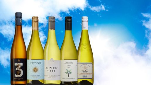 Njut i solen med fem vita favoriter runt 100 kronor