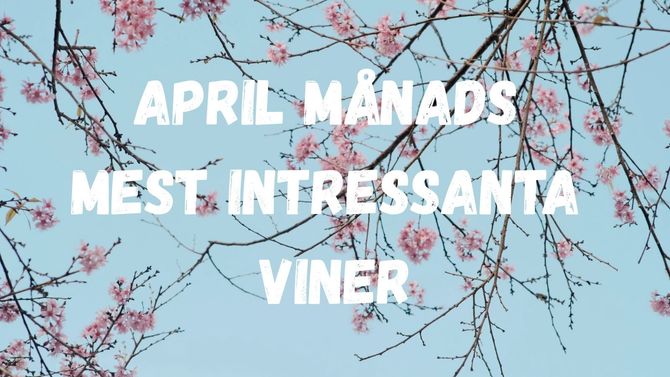 April månads mest intressanta viner