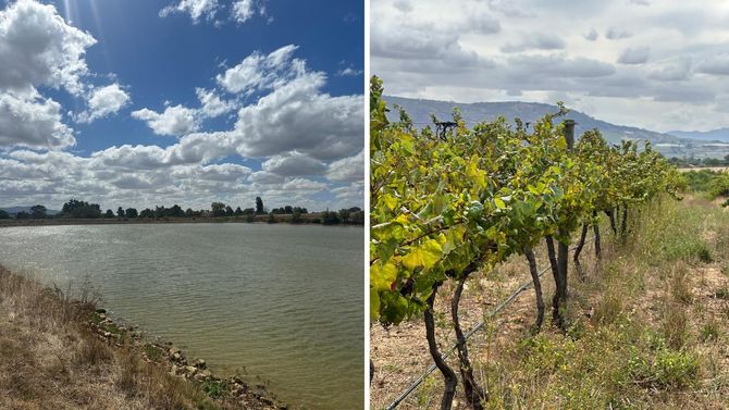 De olika dammarna på gården gör att de kan återanvända vattnet. 