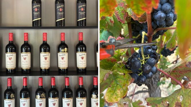 Nederburg är ett av de mer välkända sydafrikanska vinhusen på den svenska marknaden. 