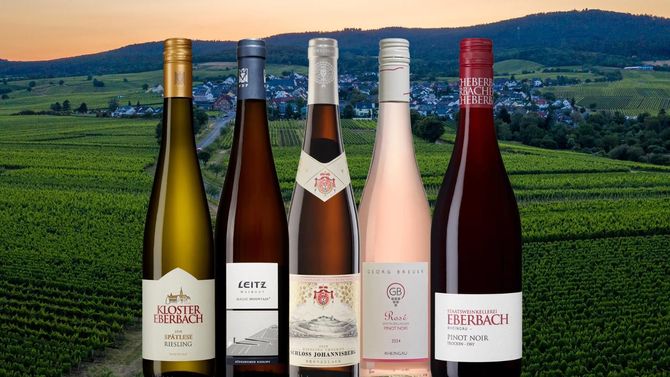 Bästa vinerna från Rheingau just nu
