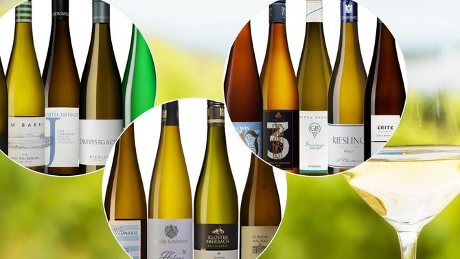 Bästa riesling 2025 - Vinbankens stora topplista