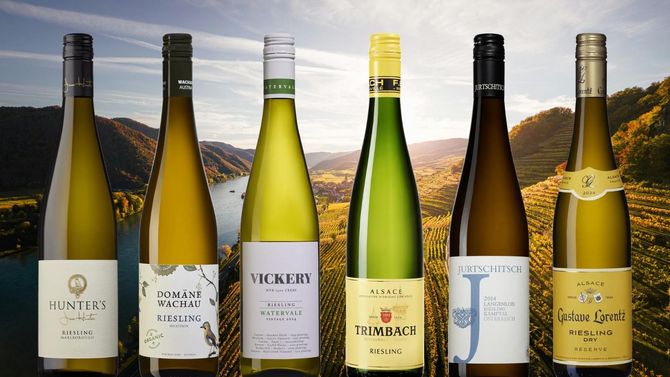 6 imponerande rieslingviner från andra länder än Tyskland