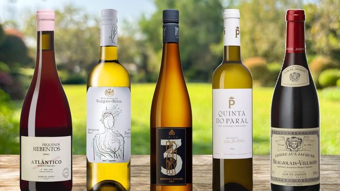 Tips på fem perfekta viner till våren