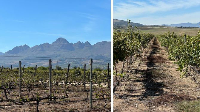 Här i Stellenbosch har Johan Jordaan stått för en enorm resa. 