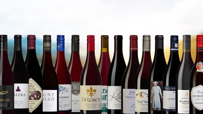 Bästa Pinot Noir 2025 - Vinbankens stora topplista