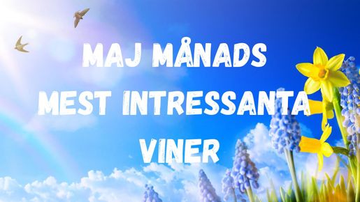 Maj månads mest intressanta viner