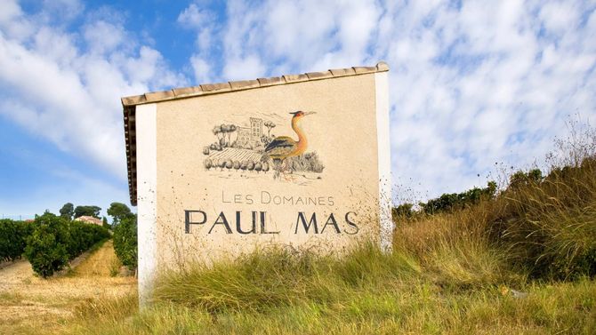 Paul Mas är den största producenten i området. 