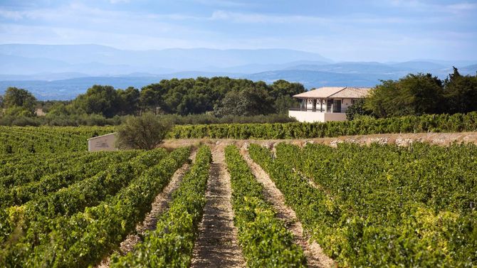 Languedoc