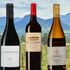5 spännande sydafrikanska viner på Systembolaget