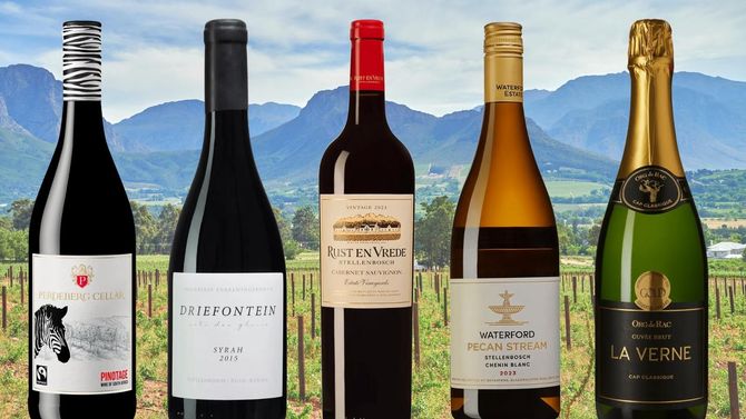 5 spännande sydafrikanska viner på Systembolaget