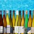 Bästa riesling 2026 - Vinbankens stora topplista