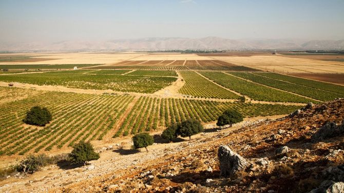 Bekaa-dalen är hemvist till merparten av landets vinmakning. 