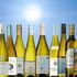Bästa vita vinerna under 100 kronor på Systembolaget