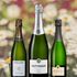 Champagnerna du ska ha till midsommar