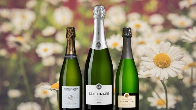 Champagnerna du ska ha till midsommar