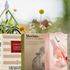 De bästa boxvinerna till midsommar – 5 tips