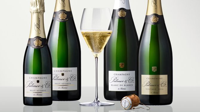 Champagnen som hyllas av experterna