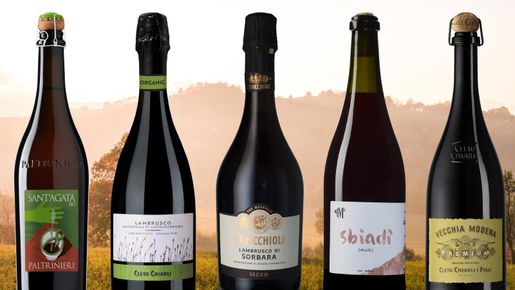 Bästa lambrusco 2024 – topplista