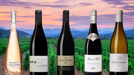 Languedoc är på frammarsch – tips på fem viner