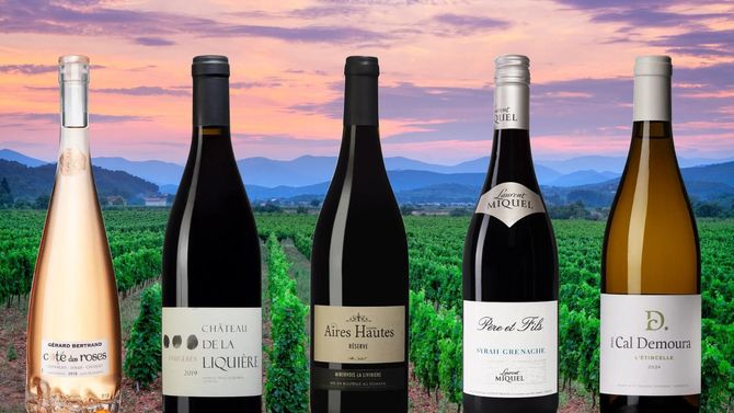 Languedoc är på frammarsch – tips på fem viner