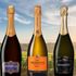 Bästa prosecco 2025 på Systembolaget – topplista