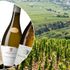 Upptäck det vita Rhône – våra fyra bästa tips