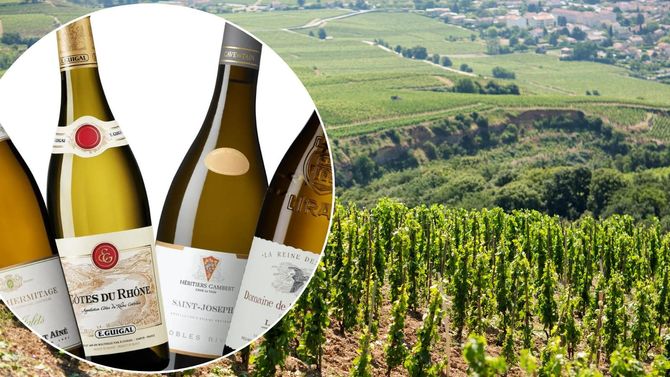 Upptäck det vita Rhône – våra fyra bästa tips
