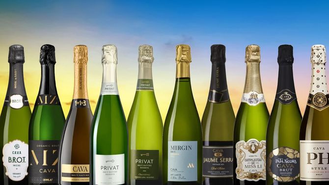 Bästa cava 2026 på Systembolaget – topp 10