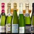 Bästa cava 2025 på Systembolaget – topplista