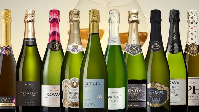 Bästa cava 2025 på Systembolaget – topplista