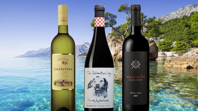 Upptäck vinlandet Kroatien - tips på tre viner