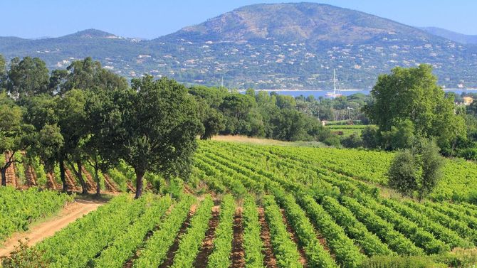 Minuty har sitt säte bara drygt en kvart från St Tropez
