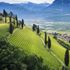 Alto Adige är Italiens bäst bevarade vinhemlighet