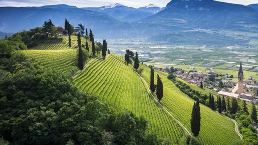 Alto Adige är Italiens bäst bevarade vinhemlighet