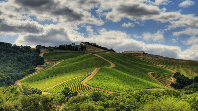 Paso Robles – vinregionen med det unika läget