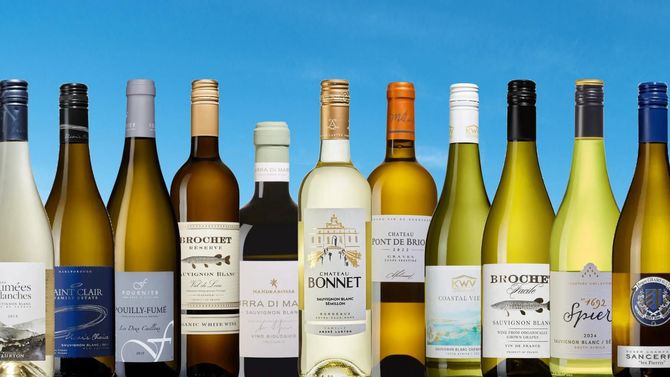 Bästa sauvignon blanc 2025 på Systembolaget – topplista