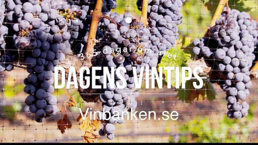 Röd Châteauneuf-du-Pape på topplistan - Dagens Vintips, vecka 2